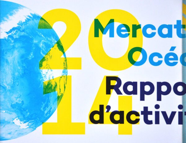 Mercator Ocean International