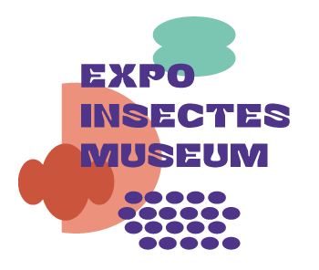 Expo Insectes